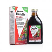 Floradix Iron 补铁补气血 德国铁元 500ml 